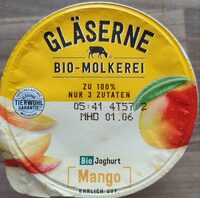 Bio Joghurt Mango