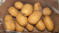 Kartoffeln