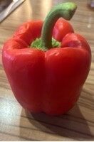 Paprika bunt