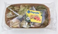 Physalis