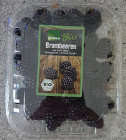 Bio Brombeeren