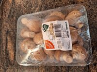 Kultur Champignons Braun