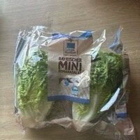 Mini Romanasalat