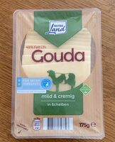 Gouda