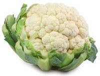 Blumenkohlröschen