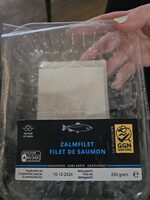Fresh Salmon