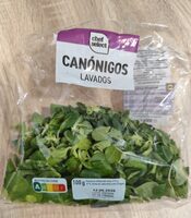Canónigos Lavados