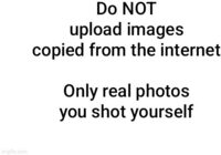 Mozzarella Stück