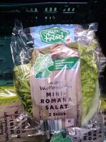 Miniromanasalat