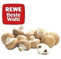 Champignons braun