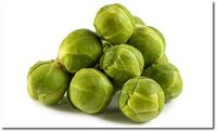 Rosenkohl
