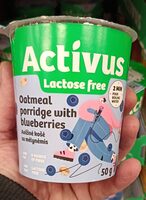 Oatmeal porridge with blueberries