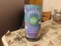 Kombucha "Kanapių Magija"