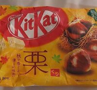 Kitkat chestnut