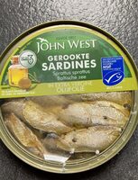Sardines