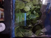Baby Spinach