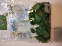 Spinach
