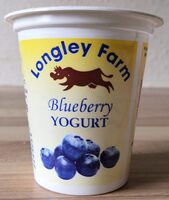 Blueberry Yogurt
