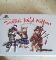 Scottish wild kittens