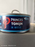 Tonijnstukken in Water