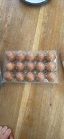Simply eggs 15 fresh eggs