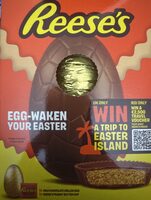 Milk Chocolate Hollow Egg with Reese's Peanut Butter Cup