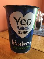 Blueberry Yogurt
