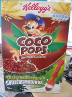 Coco pops - Riz soufflé chocolat