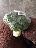 Broccoli