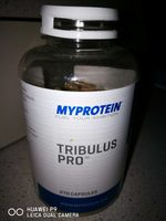 Tribulus pro