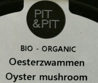 Oyster mushroom