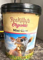 Mint choc ice cream