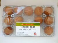 15 Fresh Eggs