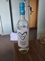 Theart Pinot Grigio FRESH & CRISP