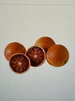 Blood Oranges