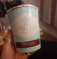 Treleavens Cornish Ice Cream