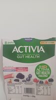 Activia Blueberry Yogurt