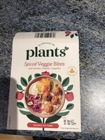 Spiced veggie bites