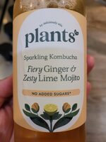 Kombucha Ginger, Mint & Lime