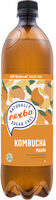 Kombucha Mangue