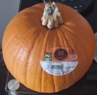 Pumpkin