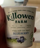 Yogurt blueberry