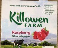 Raspberry whole milk yogurt