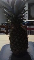 Pineapple extra sweet - Ananas