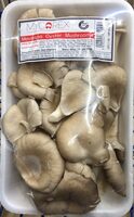 Oyster Mushrooms