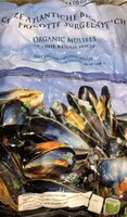 Organic mussels in their natural juices