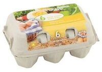 Carrefour 6 Œufs Frais de poules élevées au Sol