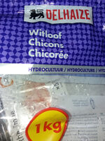 Chicons hydroculture
