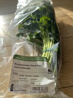 Flat Leaf Parsley