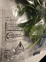 Coriander Leaves